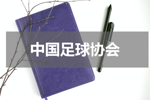中国足球协会