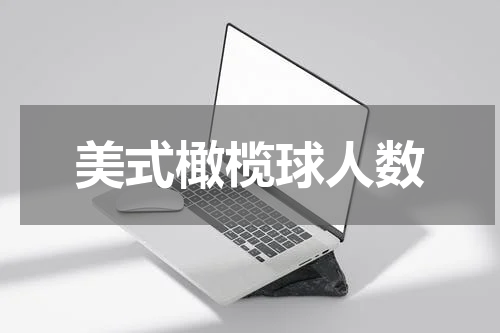 美式橄榄球人数