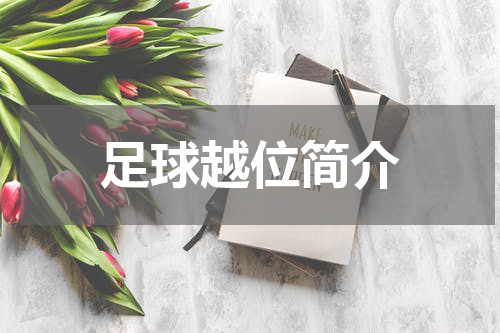 足球越位简介