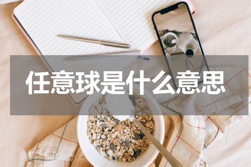 任意球是什么意思