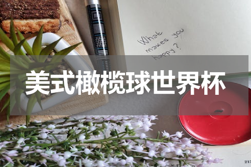 美式橄榄球世界杯
