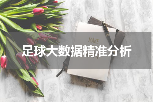 足球大数据精准分析