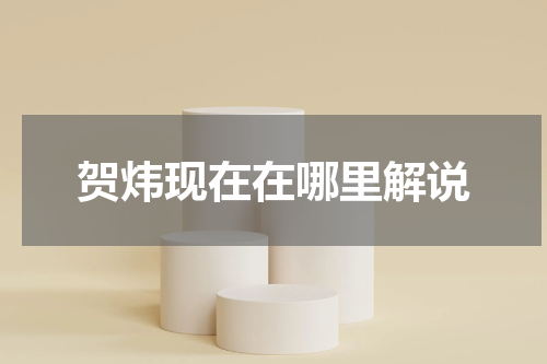 贺炜现在在哪里解说