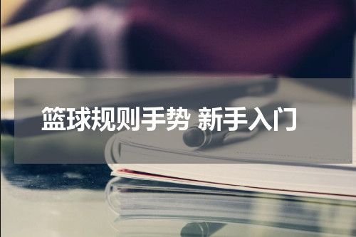 篮球规则手势 新手入门