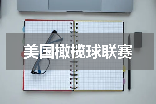 美国橄榄球联赛