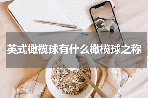 英式橄榄球有什么橄榄球之称