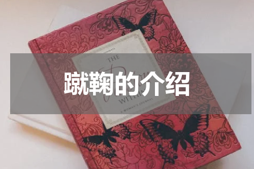 蹴鞠的介绍
