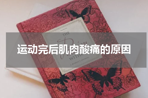 运动完后肌肉酸痛的原因