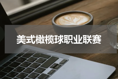 美式橄榄球职业联赛