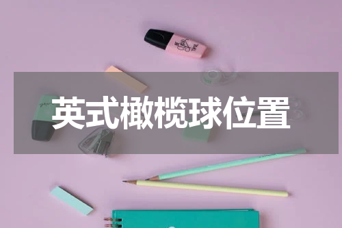 英式橄榄球位置