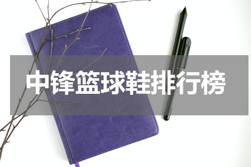 中锋篮球鞋排行榜