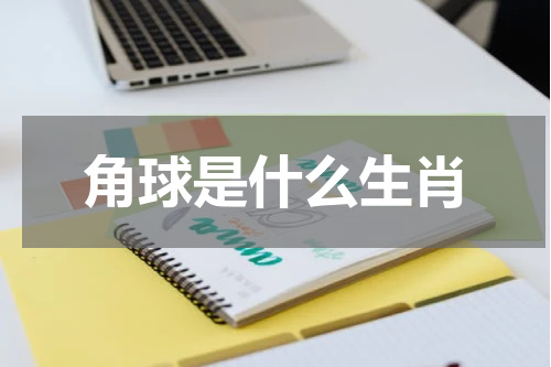 角球是什么生肖