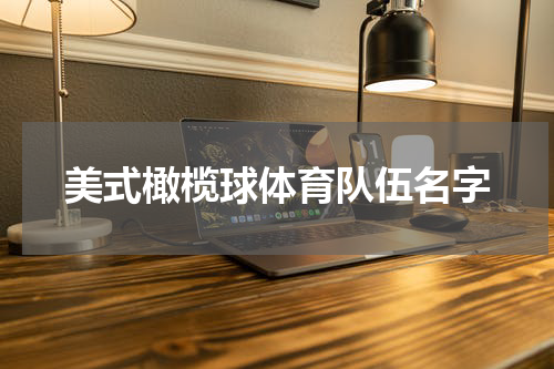美式橄榄球体育队伍名字