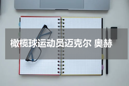 橄榄球运动员迈克尔 奥赫