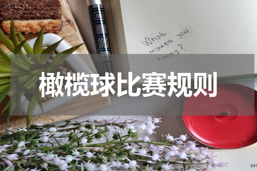 橄榄球比赛规则