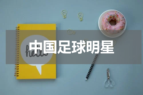中国足球明星