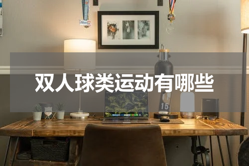 双人球类运动有哪些