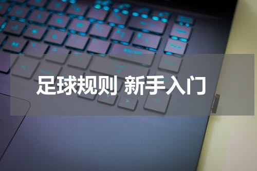 足球规则 新手入门