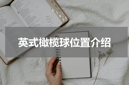 英式橄榄球位置介绍