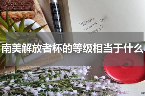 南美解放者杯的等级相当于什么