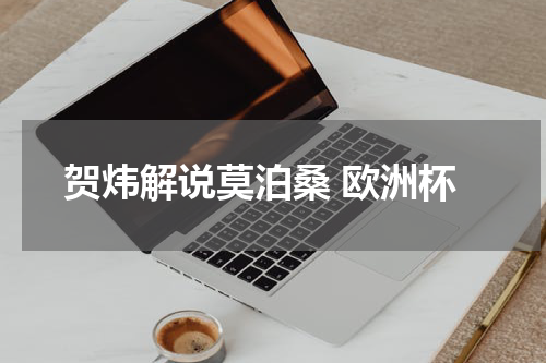 贺炜解说莫泊桑 欧洲杯