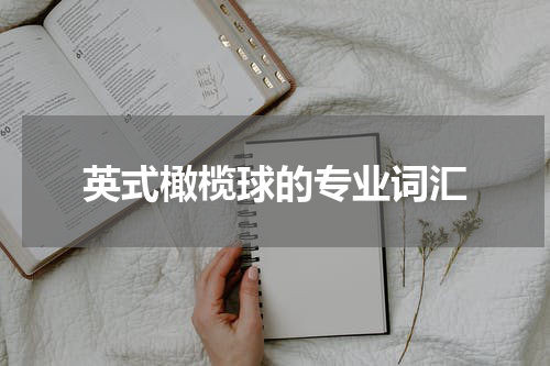 英式橄榄球的专业词汇