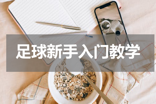 足球新手入门教学