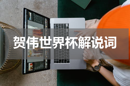 贺伟世界杯解说词