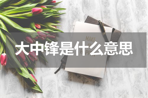 大中锋是什么意思