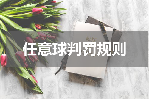 任意球判罚规则