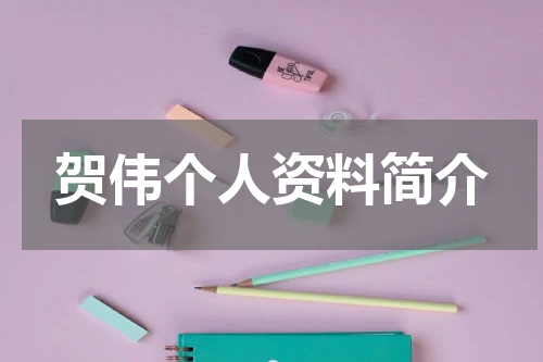 贺伟个人资料简介