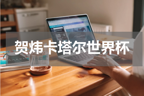 贺炜卡塔尔世界杯