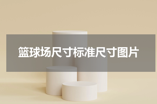 篮球场尺寸标准尺寸图片