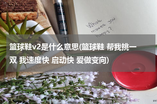 篮球鞋v2是什么意思(篮球鞋 帮我挑一双 我速度快 启动快 爱做变向)