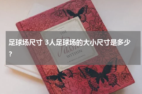 足球场尺寸 3人足球场的大小尺寸是多少？