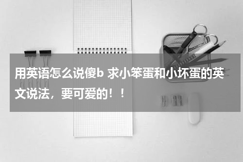 用英语怎么说傻b 求小笨蛋和小坏蛋的英文说法，要可爱的！！
