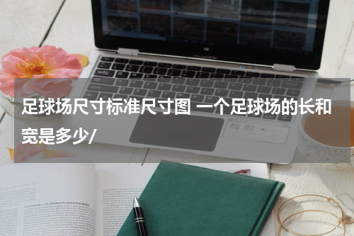 足球场尺寸标准尺寸图 一个足球场的长和宽是多少/
