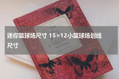 迷你篮球场尺寸 15×12小篮球场划线尺寸