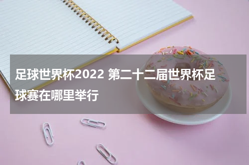 足球世界杯2022 第二十二届世界杯足球赛在哪里举行