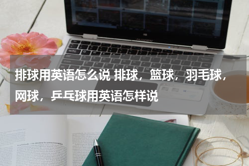 排球用英语怎么说 排球，篮球，羽毛球，网球，乒乓球用英语怎样说