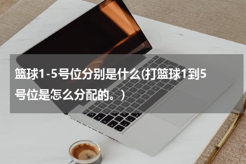 篮球1-5号位分别是什么(打篮球1到5号位是怎么分配的。)