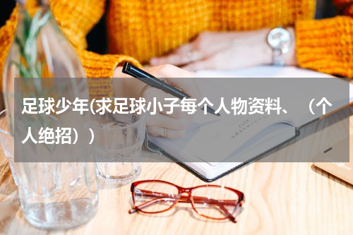 足球少年(求足球小子每个人物资料、（个人绝招）)