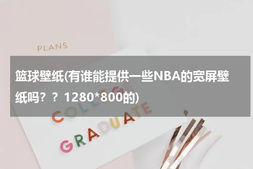 篮球壁纸(有谁能提供一些NBA的宽屏壁纸吗？？1280*800的)