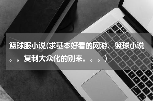 篮球服小说(求基本好看的网游、篮球小说。。复制大众化的别来。。。)
