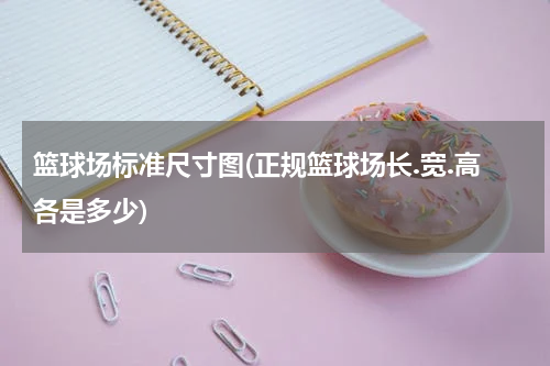 篮球场标准尺寸图(正规篮球场长.宽.高各是多少)