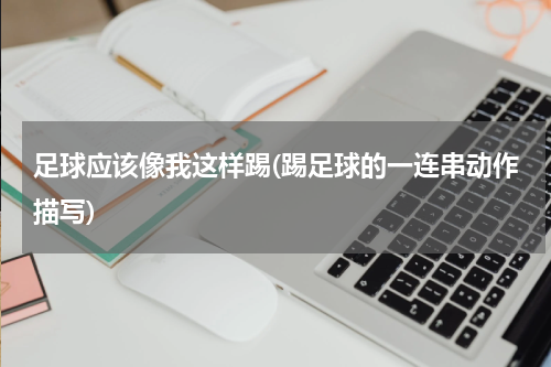 足球应该像我这样踢(踢足球的一连串动作描写)