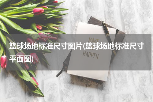 篮球场地标准尺寸图片(篮球场地标准尺寸平面图)