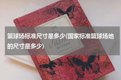 篮球场标准尺寸是多少(国家标准篮球场地的尺寸是多少)