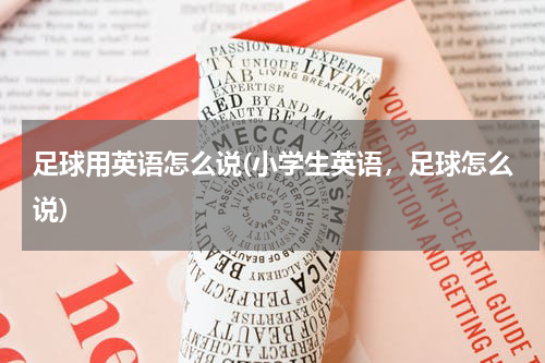 足球用英语怎么说(小学生英语，足球怎么说)