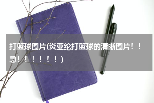 打篮球图片(炎亚纶打篮球的清晰图片！！急！！！！！！)